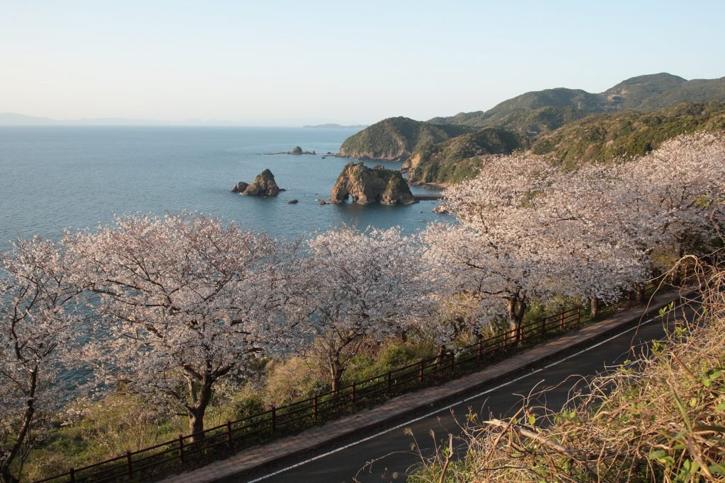 🌸 십삼불 공원(주산부츠 코엔) 이미지 1